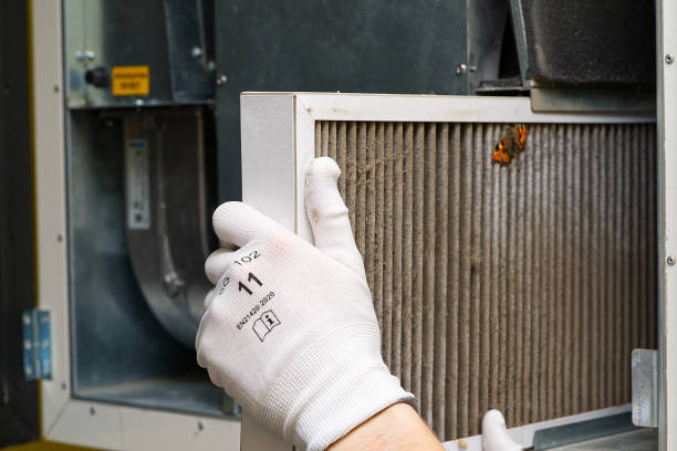 Best Duct Cleaning for Offices  in Harrisville, WV