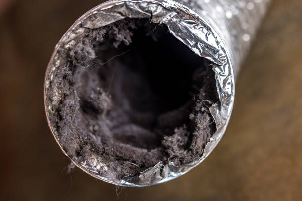 Best Air Duct Cleaning Company Near Me  in Harrisville, WV