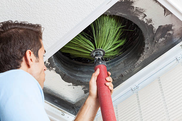 Best Ductwork Cleaning Services  in Harrisville, WV